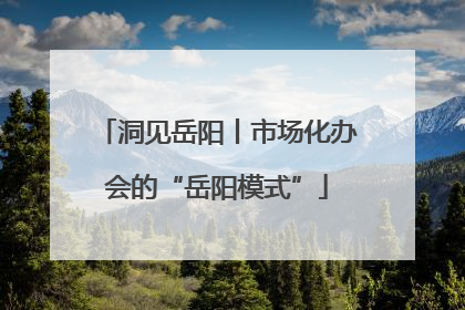 洞见岳阳丨市场化办会的“岳阳模式”