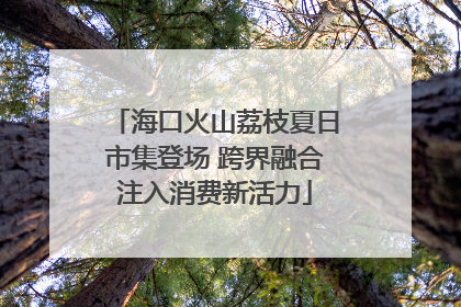 海口火山荔枝夏日市集登场 跨界融合注入消费新活力