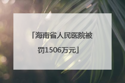 海南省人民医院被罚1506万元