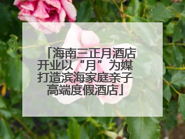 海南三正月酒店开业以“月”为媒打造滨海家庭亲子高端度假酒店