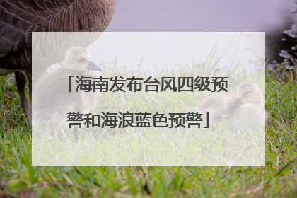 海南发布台风四级预警和海浪蓝色预警
