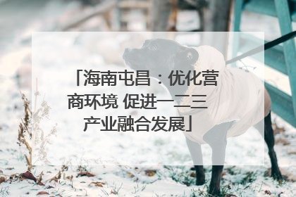 海南屯昌：优化营商环境 促进一二三产业融合发展