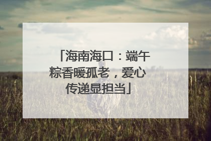 海南海口：端午粽香暖孤老，爱心传递显担当