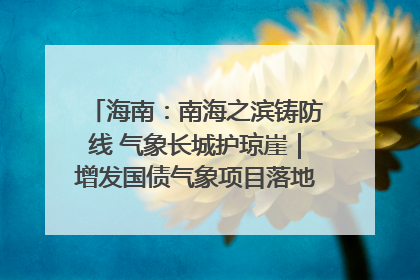 海南：南海之滨铸防线 气象长城护琼崖｜增发国债气象项目落地见效系列报道