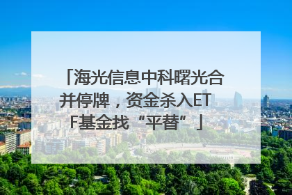 海光信息中科曙光合并停牌，资金杀入ETF基金找“平替”