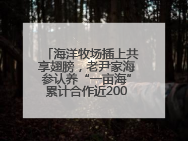 海洋牧场插上共享翅膀，老尹家海参认养“一亩海”累计合作近200企业客户