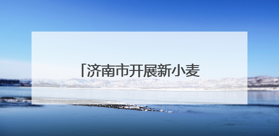 济南市开展新小麦市场行情专项调研