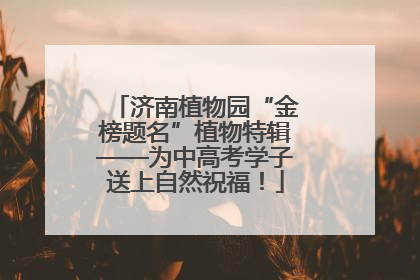 济南植物园“金榜题名”植物特辑——为中高考学子送上自然祝福！