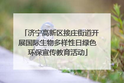 济宁高新区接庄街道开展国际生物多样性日绿色环保宣传教育活动