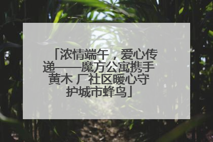浓情端午，爱心传递——魔方公寓携手黄木 厂社区暖心守护城市蜂鸟