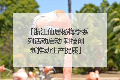 浙江仙居杨梅季系列活动启动 科技创新推动生产提质