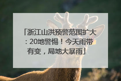 浙江山洪预警范围扩大：20地警惕！今天雨带有变，局地大暴雨
