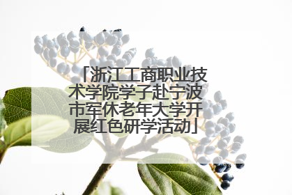 浙江工商职业技术学院学子赴宁波市军休老年大学开展红色研学活动