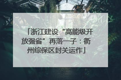 浙江建设“高能级开放强省”再落一子：衢州综保区封关运作