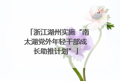 浙江湖州实施“南太湖党外年轻干部成长助推计划”
