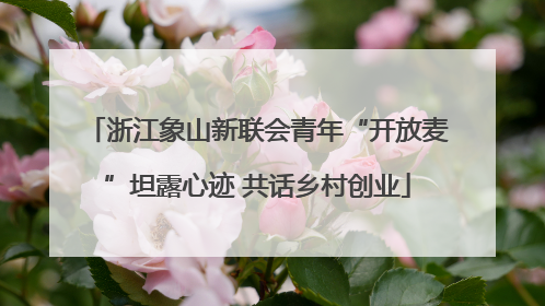 浙江象山新联会青年“开放麦”坦露心迹 共话乡村创业