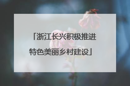 浙江长兴积极推进特色美丽乡村建设