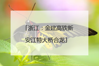 浙江：金建高铁新安江特大桥合龙