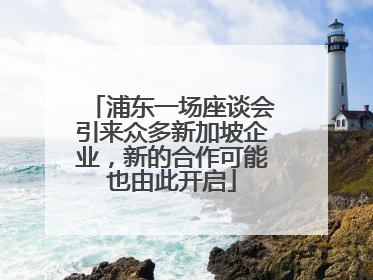 浦东一场座谈会引来众多新加坡企业，新的合作可能也由此开启