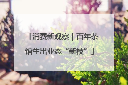 消费新观察｜百年茶馆生出业态“新枝”