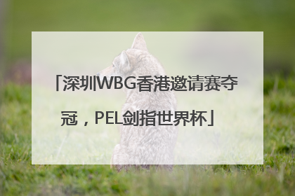 深圳WBG香港邀请赛夺冠，PEL剑指世界杯