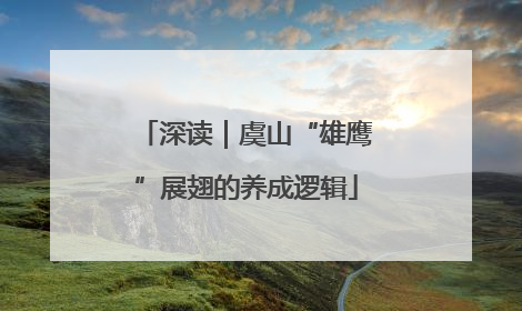 深读｜虞山“雄鹰”展翅的养成逻辑