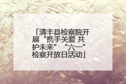 清丰县检察院开展“携手关爱 共护未来”“六一”检察开放日活动