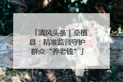 清风头条｜桑植县：精准监督守护群众“养老钱”
