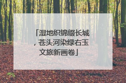 湿地织锦缀长城，苍头河染绿右玉文旅新画卷