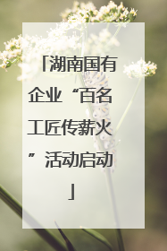 湖南国有企业“百名工匠传薪火”活动启动