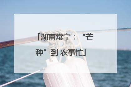 湖南常宁：“芒种”到 农事忙