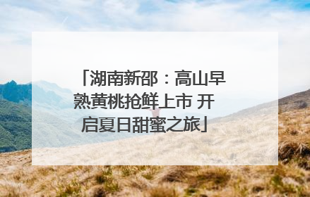 湖南新邵：高山早熟黄桃抢鲜上市 开启夏日甜蜜之旅