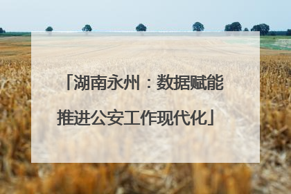 湖南永州：数据赋能推进公安工作现代化