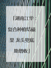 湖南江华：复合种植结硕果 龙头兜底助增收