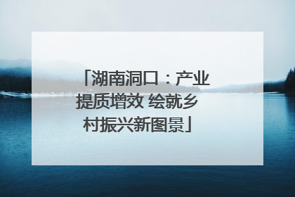 湖南洞口：产业提质增效 绘就乡村振兴新图景