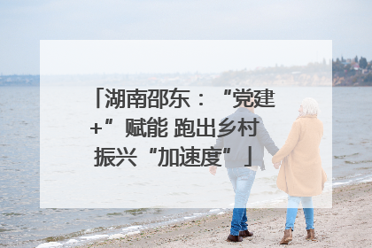 湖南邵东：“党建+”赋能 跑出乡村振兴“加速度”