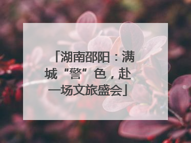 湖南邵阳：满城“警”色，赴一场文旅盛会