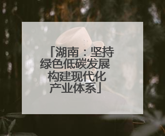 湖南：坚持绿色低碳发展 构建现代化产业体系