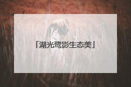 湖光鹭影生态美