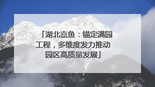 湖北嘉鱼：锚定满园工程，多维度发力推动园区高质量发展
