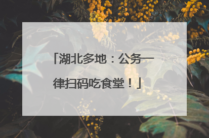 湖北多地：公务一律扫码吃食堂！