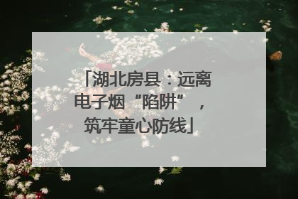 湖北房县：远离电子烟“陷阱”，筑牢童心防线