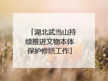 湖北武当山持续推进文物本体保护修缮工作