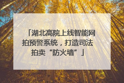 湖北高院上线智能网拍预警系统，打造司法拍卖“防火墙”