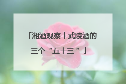 湘酒观察丨武陵酒的三个“五十三 ”