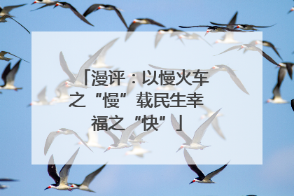 漫评：以慢火车之“慢”载民生幸福之“快”