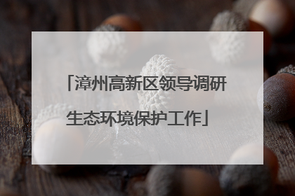 漳州高新区领导调研生态环境保护工作