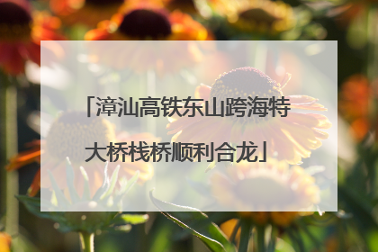 漳汕高铁东山跨海特大桥栈桥顺利合龙