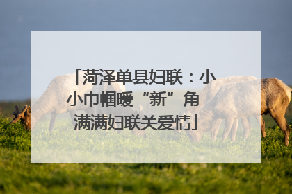 菏泽单县妇联：小小巾帼暖“新”角 满满妇联关爱情