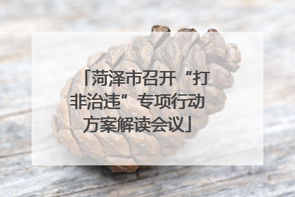 菏泽市召开“打非治违”专项行动方案解读会议